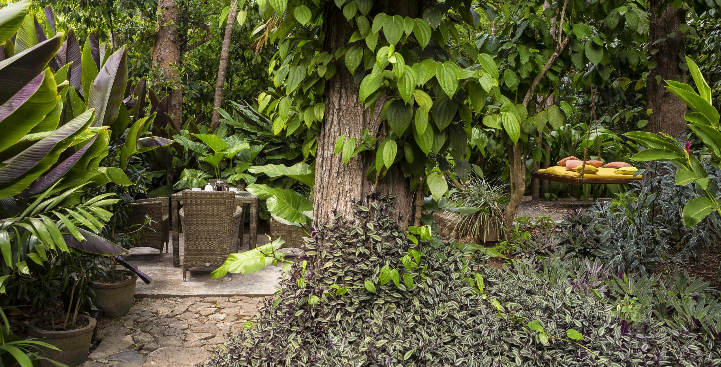 Tropische Atmosphäre im Garten