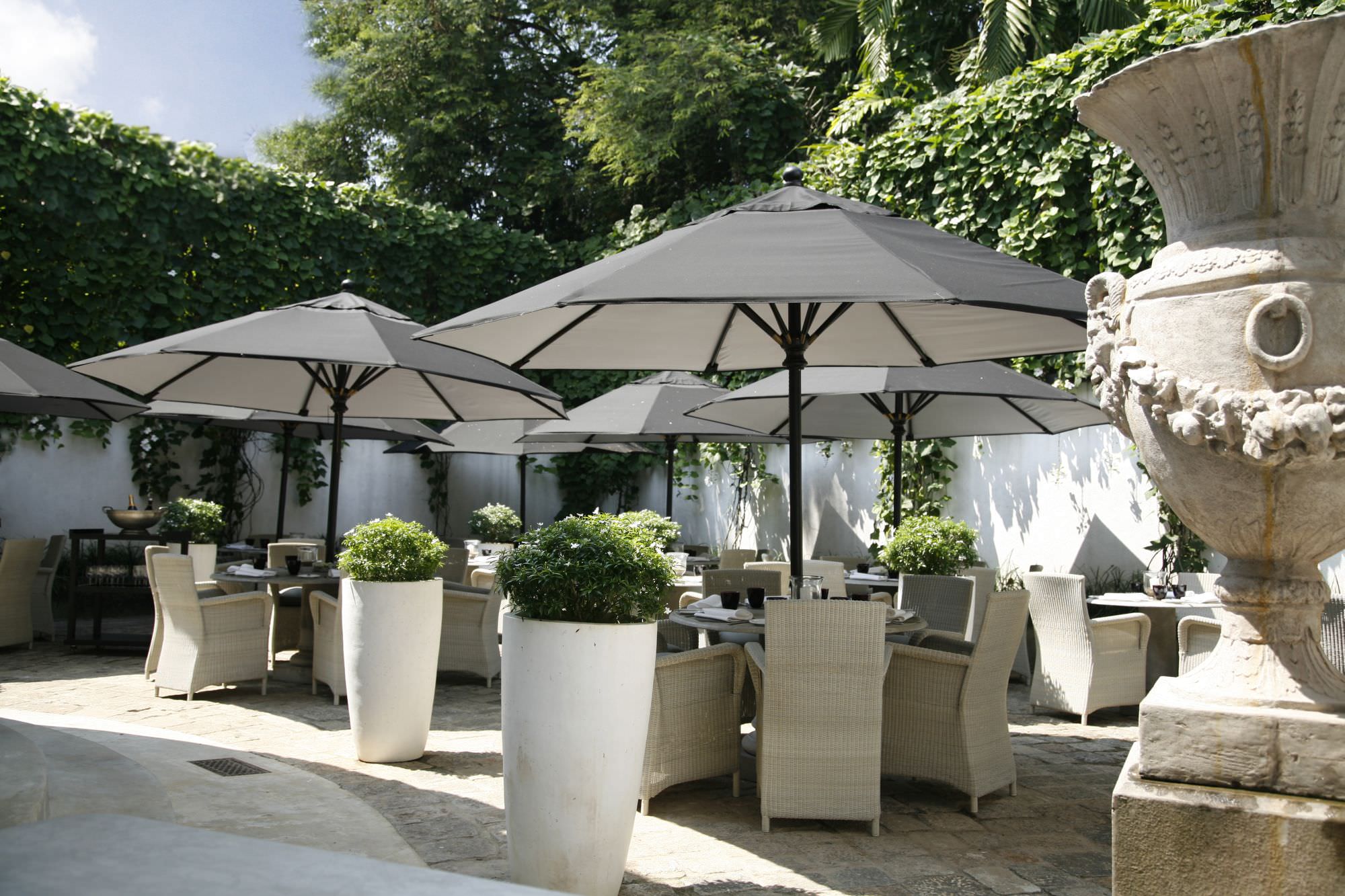 Dinieren Sie kulinarische Highlights