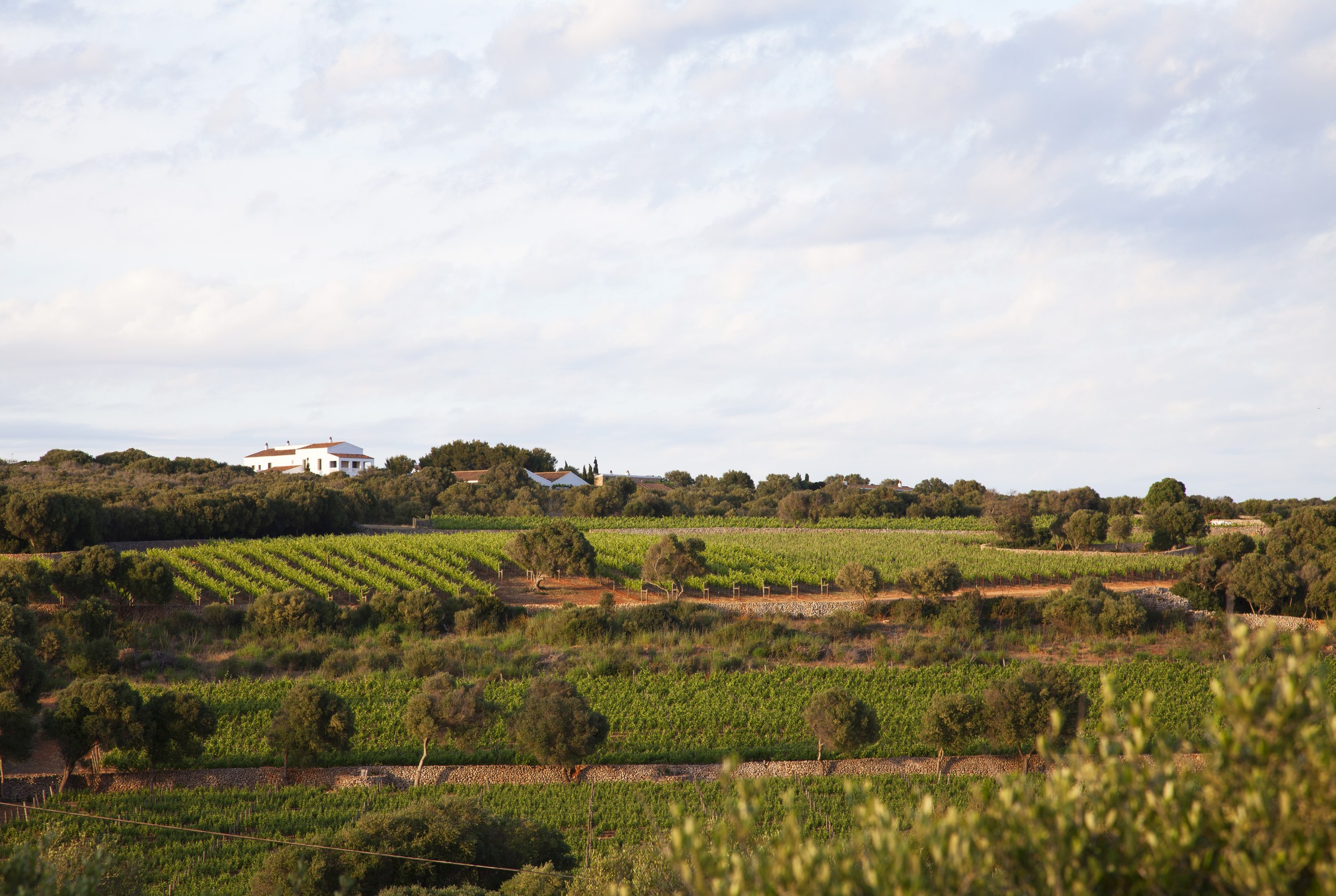 Auf einem Hügel gelegen umgeben von Ruhe und Natur