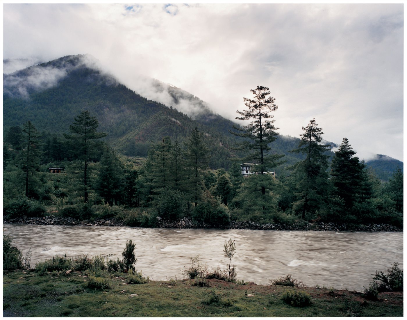Erkundigen Sie die einzigartige Natur Bhutans