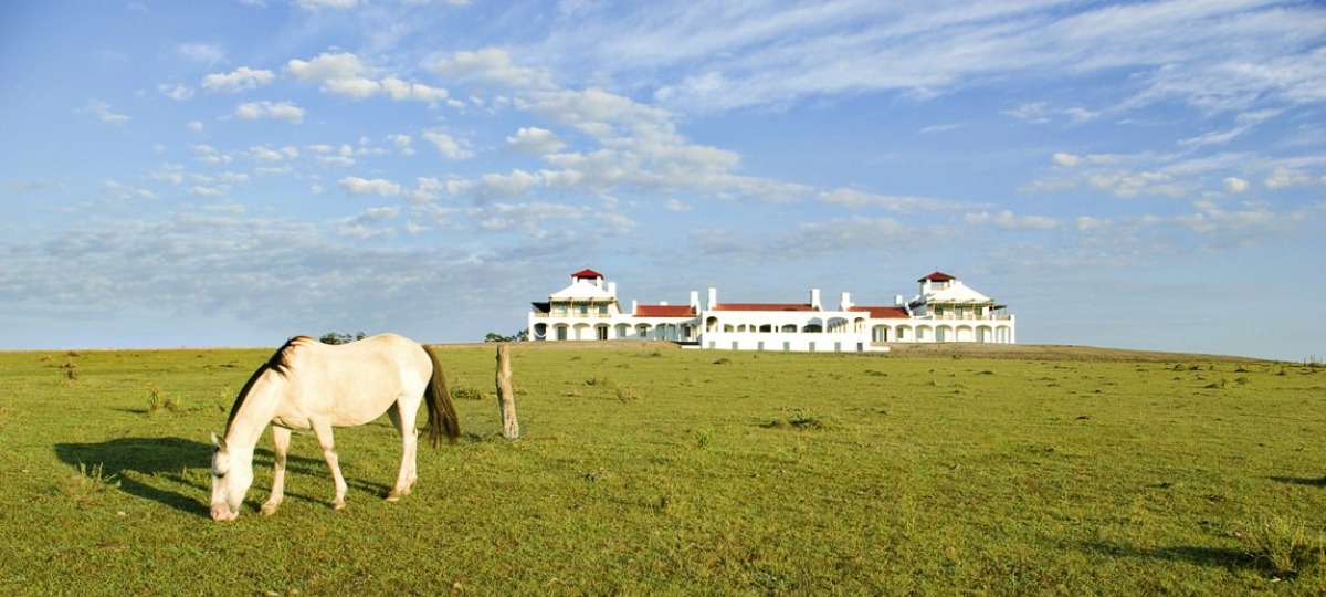 Herzlich Willkommen im Estancia Vik