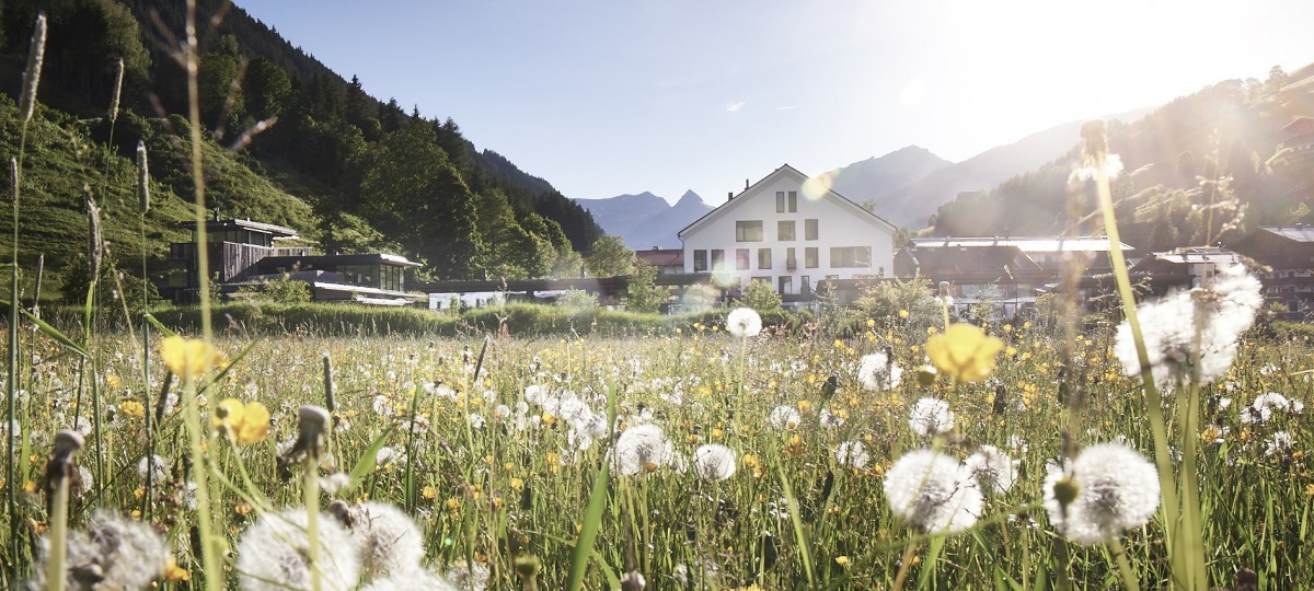 Der wunderschöne Wieserhof im Sommer