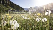 Der wunderschöne Wieserhof im Sommer