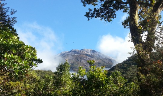 Mount Kinabalu 