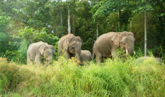 Exotische Tiere hautnah