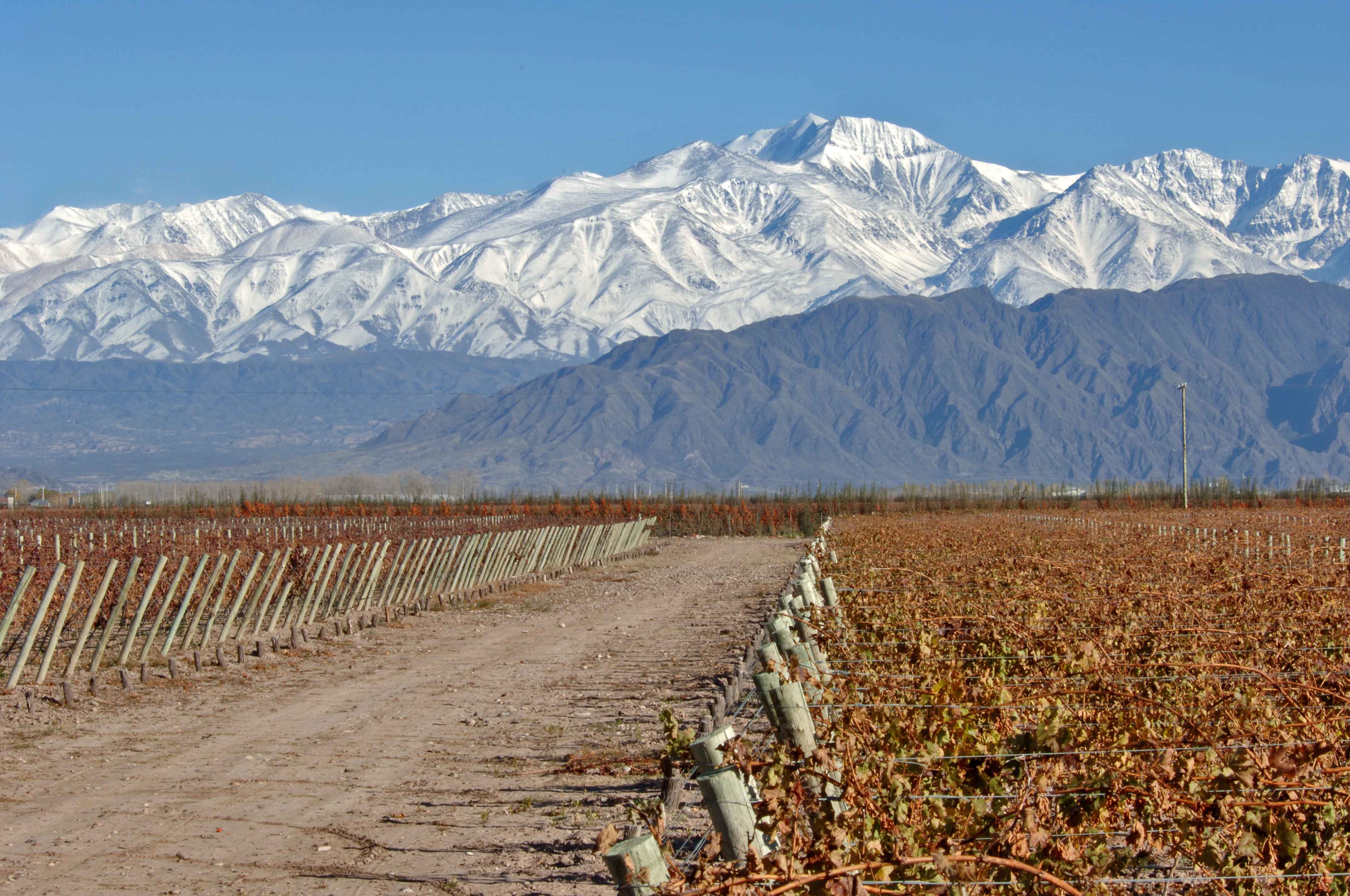 Gegensätze erwarten Sie