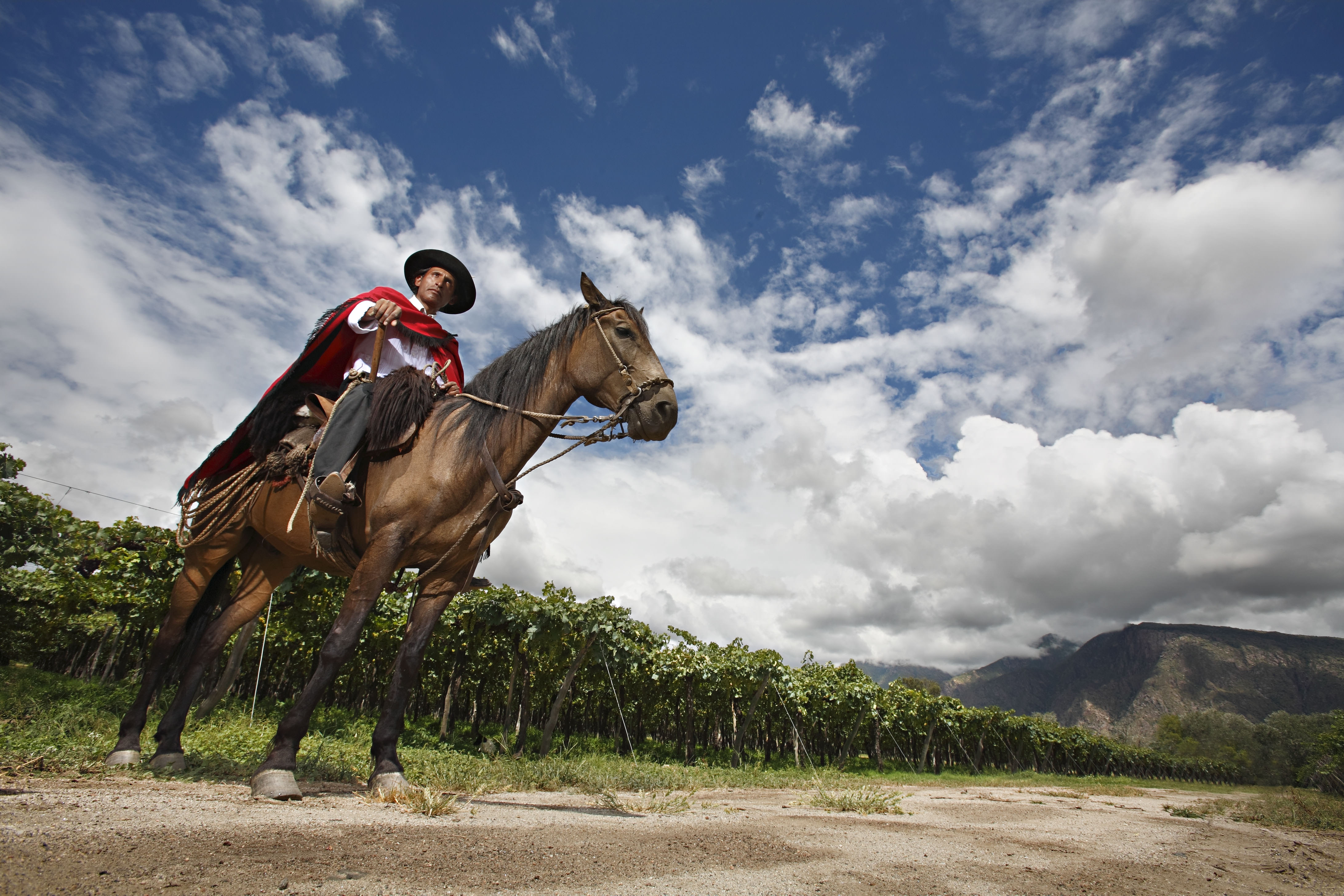 Gaucho mit seinem Pferd