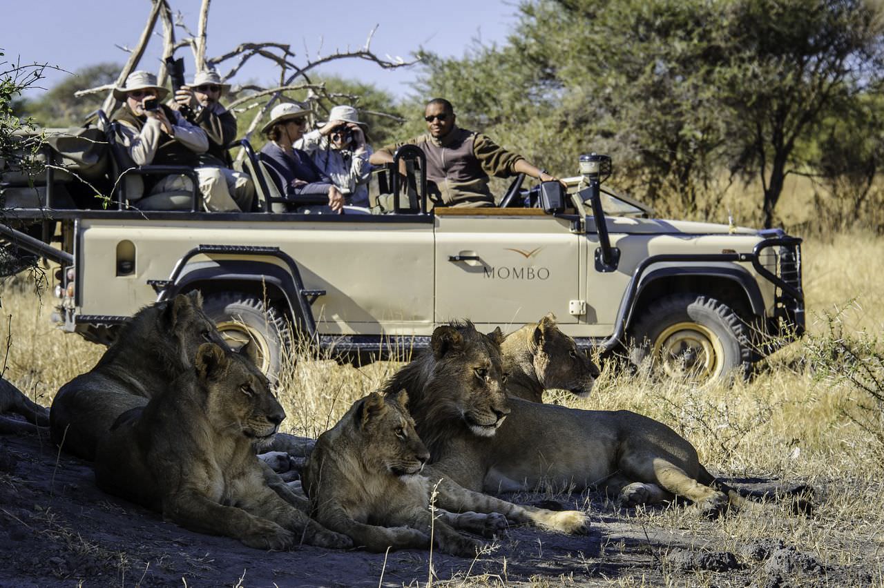 Spannende Tierbeobachtungen