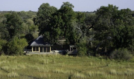 Wildnis pur rund um das Vumbura Plains Camp