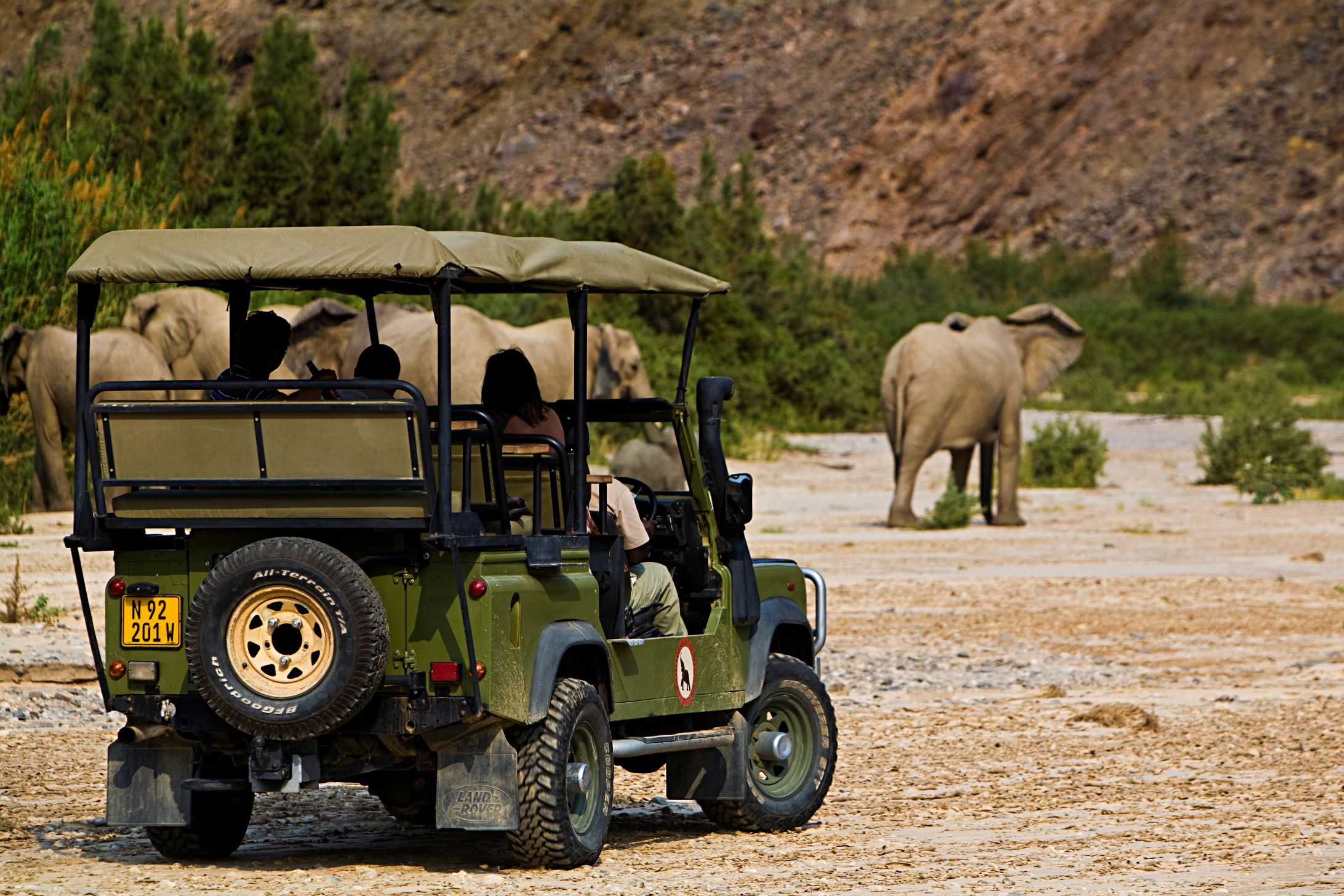 Spannende Safaris erwarten Sie