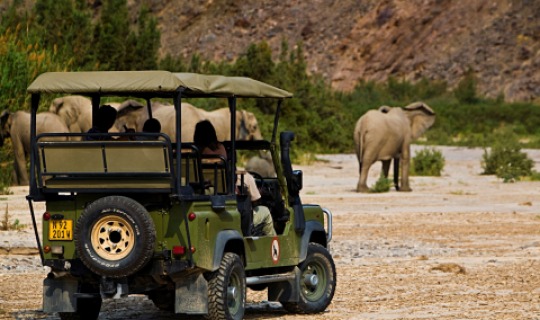 Spannende Safaris erwarten Sie