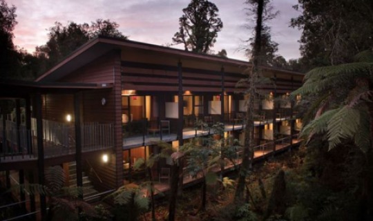 Das Te Waonui Forest Retreat